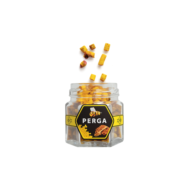 Перга